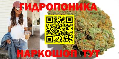 хмурый Моздок