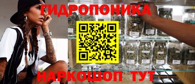 хмурый Моздок