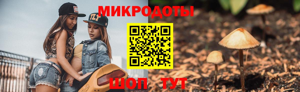 Сосновоборск  Галлюциногенные грибы мицелий  Вход с VPN 